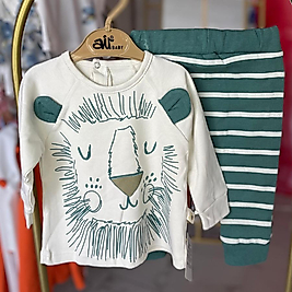 Erkek bebek ayıcıklı takım