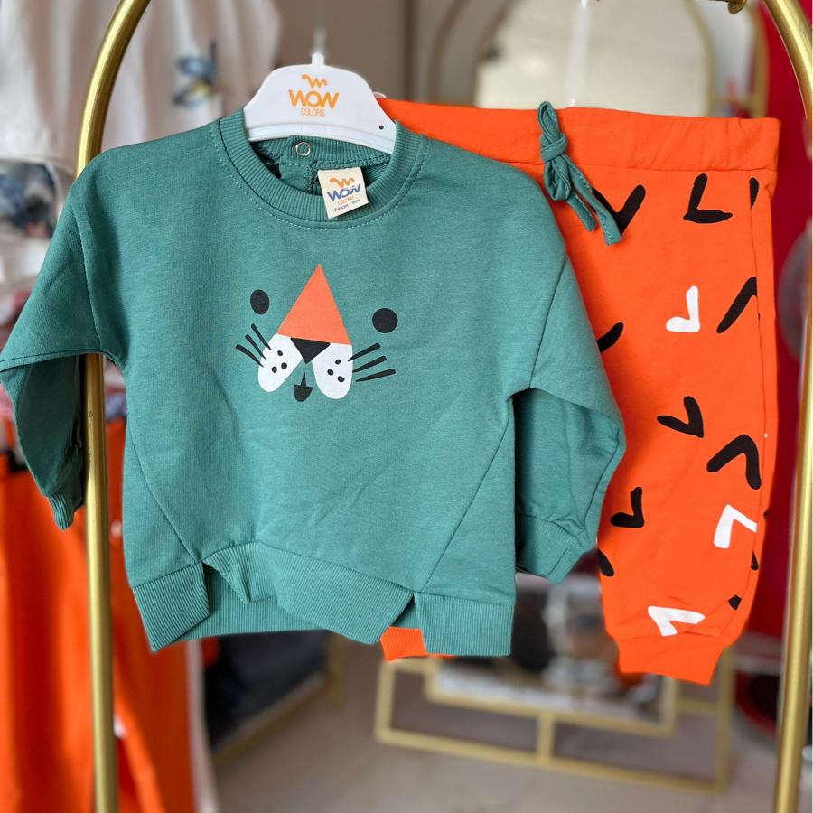 Erkek bebek kedili takım