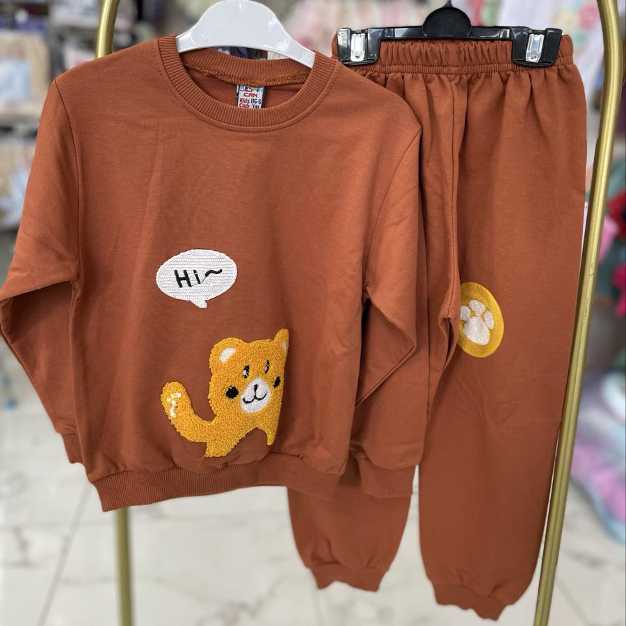 Ayıcık baskılı kahverengi takım