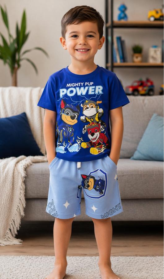 3-10 yaş paw patrol şortlu takım